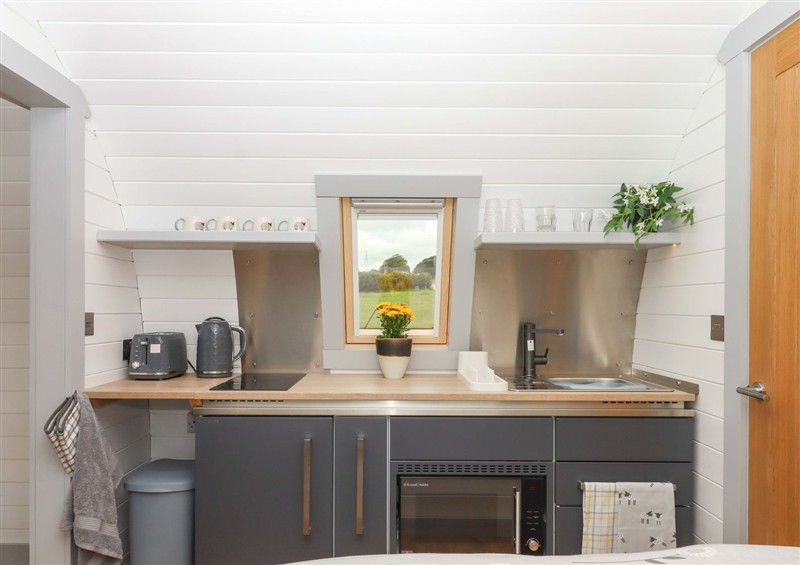 Kitchen at Under Oak Pod, Totnes