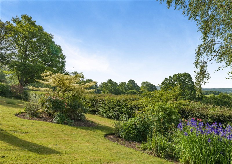 In the area at Underhill House, East Knoyle near Hindon