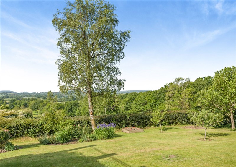 The setting (photo 2) at Underhill House, East Knoyle near Hindon