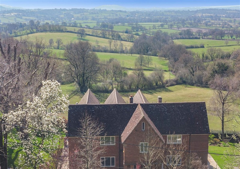 This is the garden at Underhill House, East Knoyle near Hindon