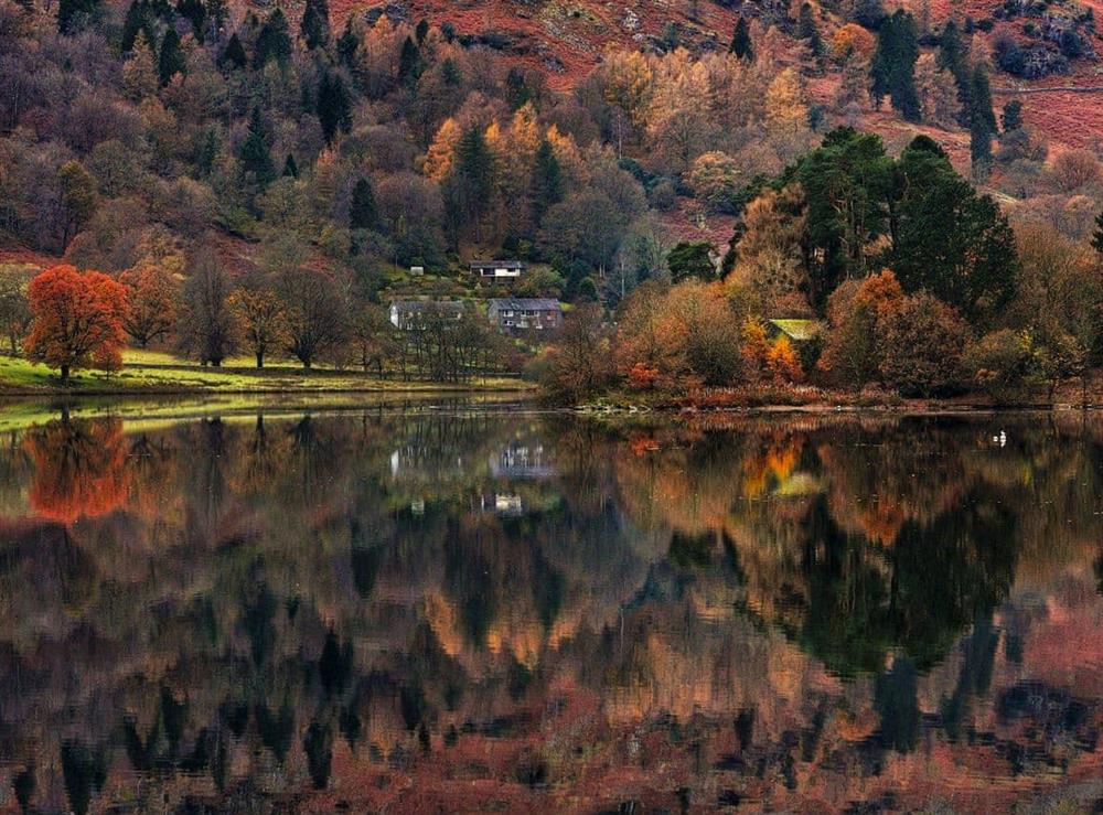 Magnificent autumnal scenery at Unerigg in Grasmere, Cumbria