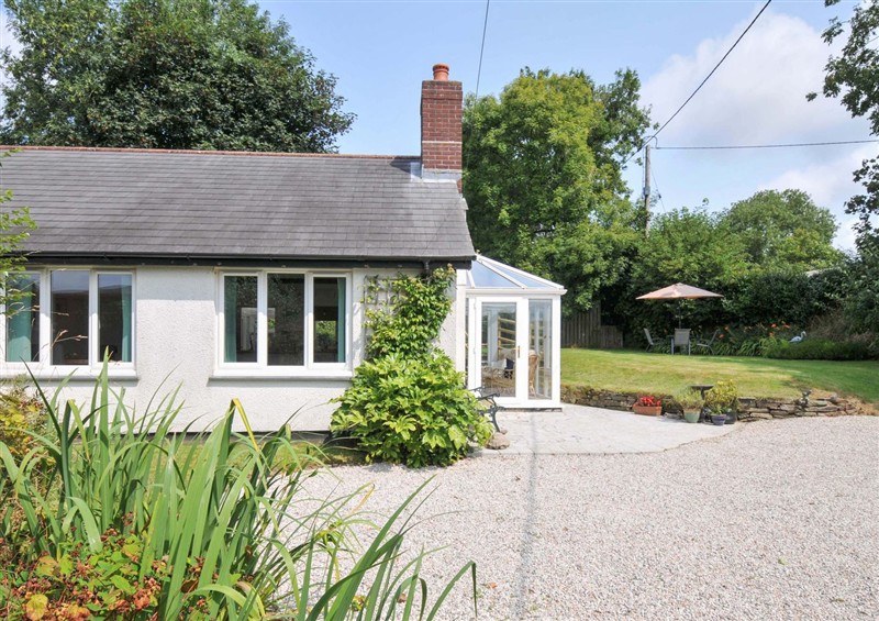 Outside at Upper Court Cottage, Broad Langdon near Wainhouse Corner