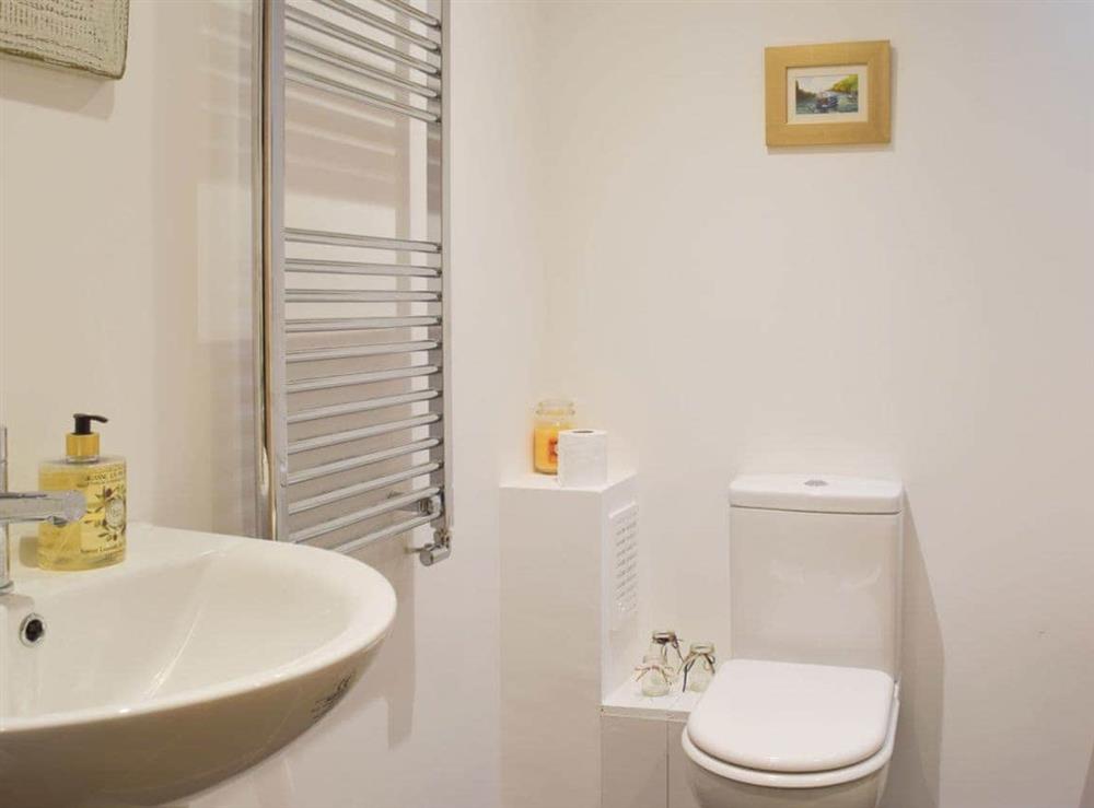 Shower room with heated towel rail at Ravens Roost, 