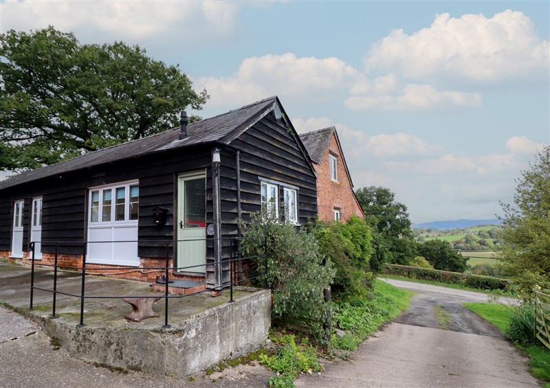 Outside at Upper Pandy Farm, Berriew near Welshpool