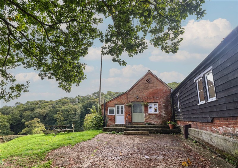 The garden at Upper Pandy Farm, Berriew near Welshpool