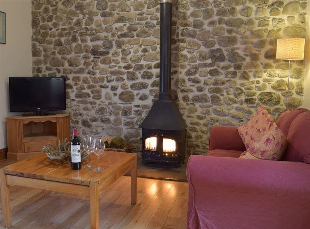 Living room with wood burner at Gwili Cottage, 