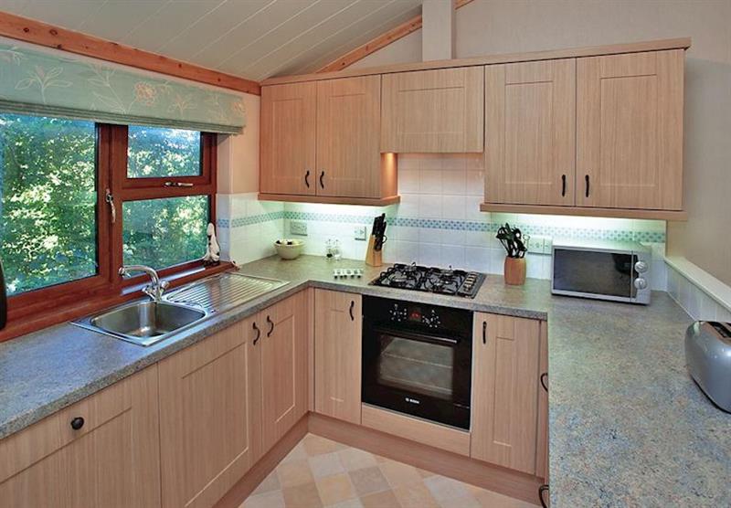 Typical Lakeside Elm (Pet Friendly) (photo number 18) at Upton Lakes Lodges in Devon, South West of England
