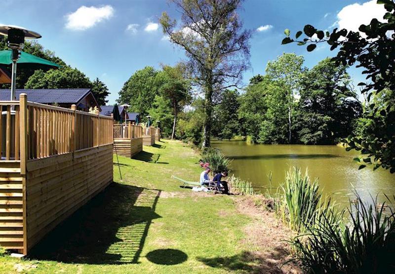 Typical Lakeside Elm (Pet Friendly) at Upton Lakes Lodges in Devon, South West of England