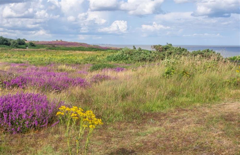 Dunwich Heath part of the Area of Outstanding Natural Beauty at Valentine Cottage, Snape Watering