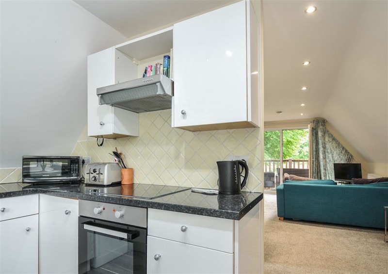The kitchen (photo 3) at Valley Lodge 2, Callington