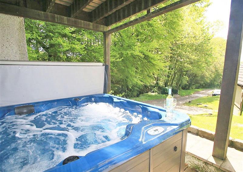Spend some time in the hot tub at Valley Lodge 31, Callington