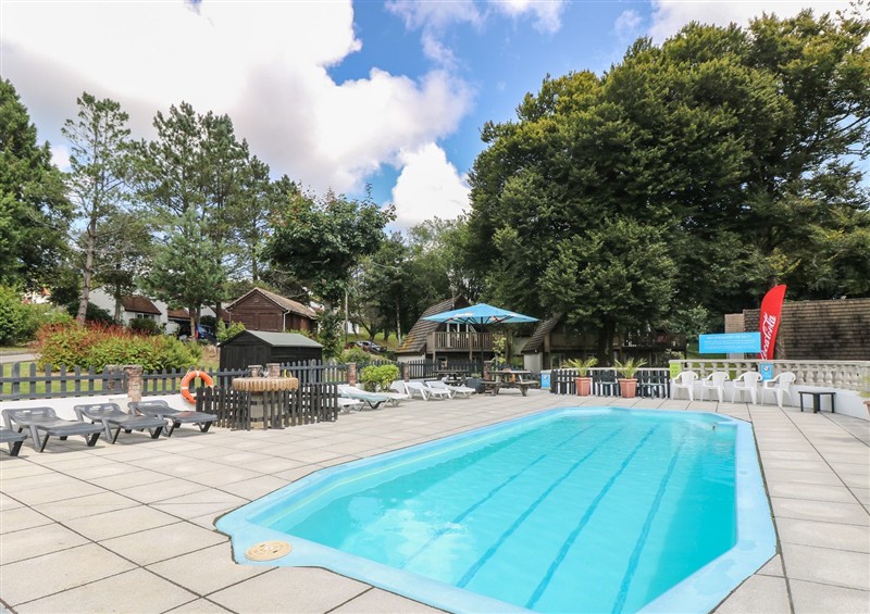 The swimming pool at Valley Lodge 31, St Anns Chapel