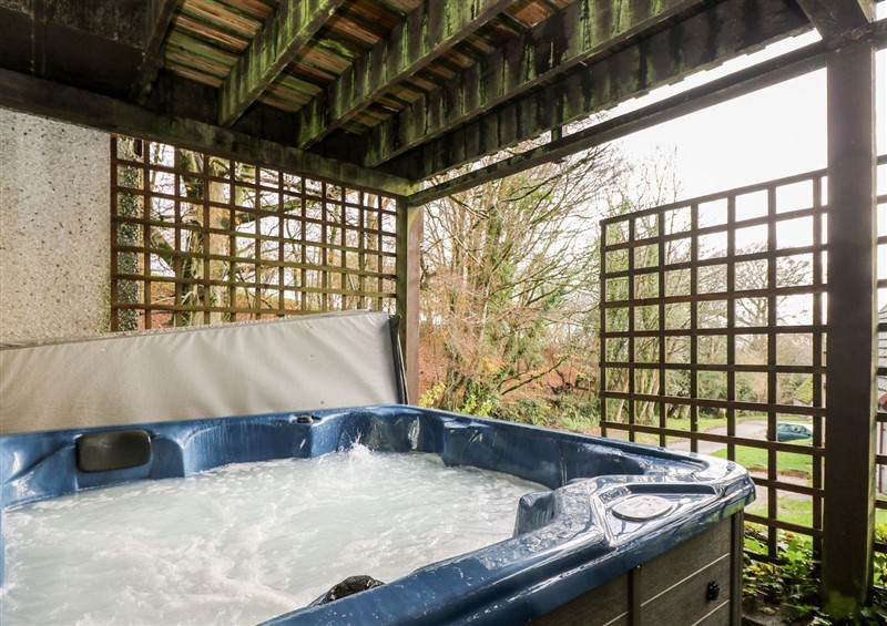 There is a hot tub at Valley Lodge 31, St Anns Chapel