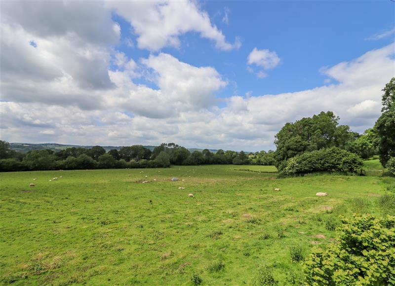 The area around Valley Lodge 4 - North Wales Eco Lodges