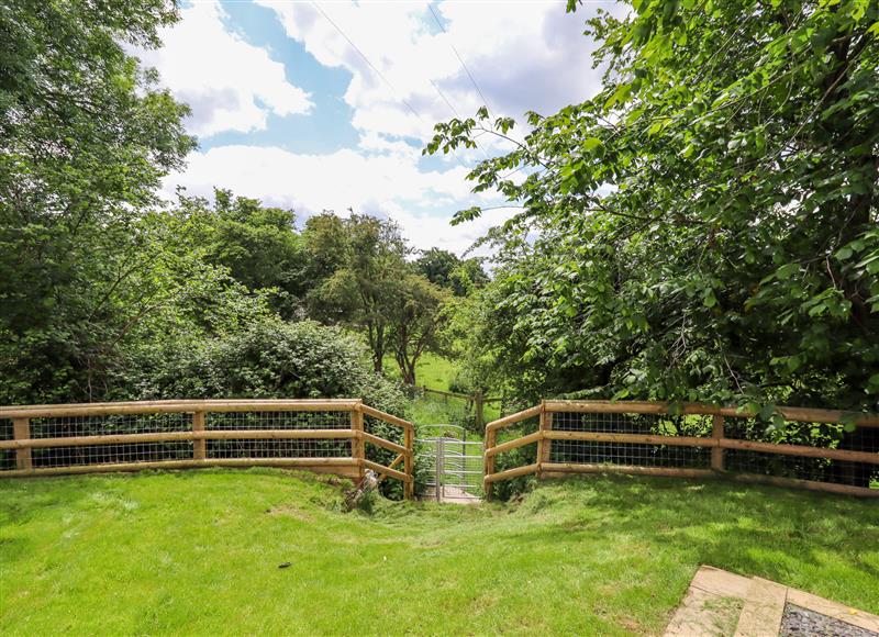 The setting around Valley Lodge 4 - North Wales Eco Lodges