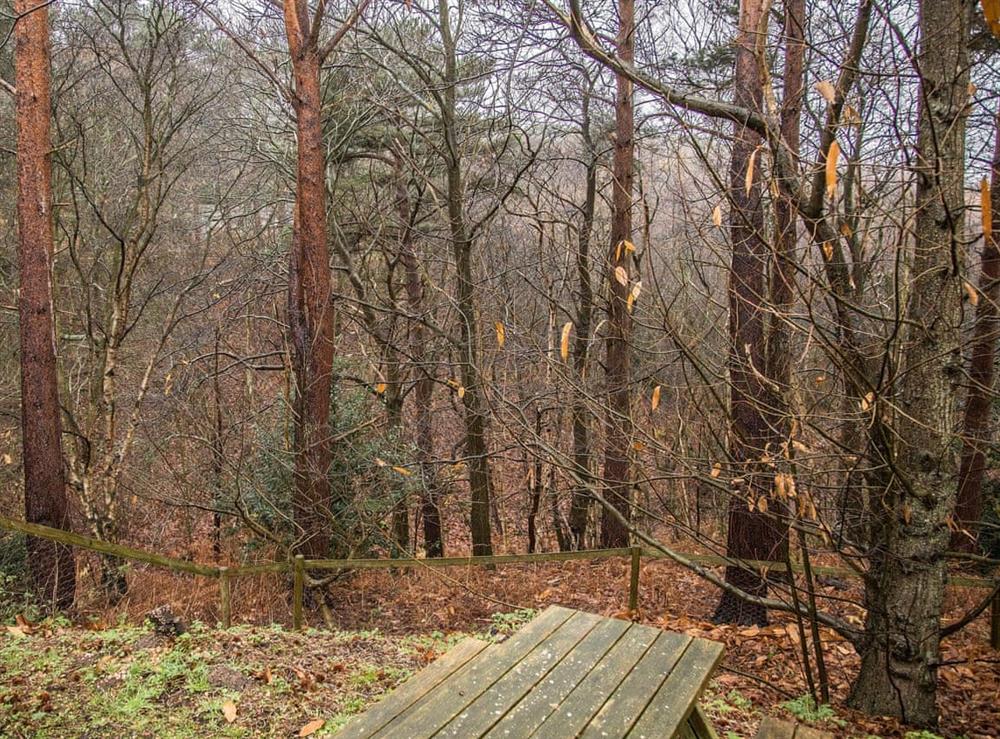 Wonderful woodland location at Valley View Lodge in Weybourne, near Sheringham, Norfolk