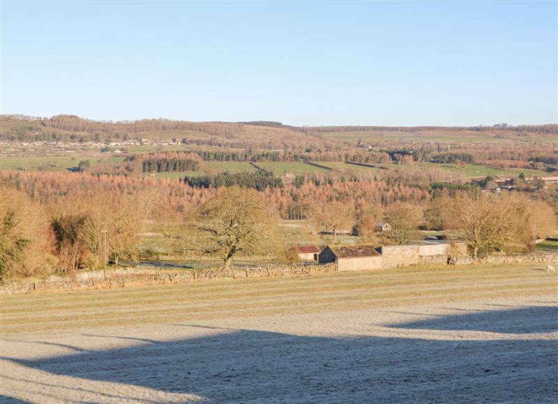 Rural landscape