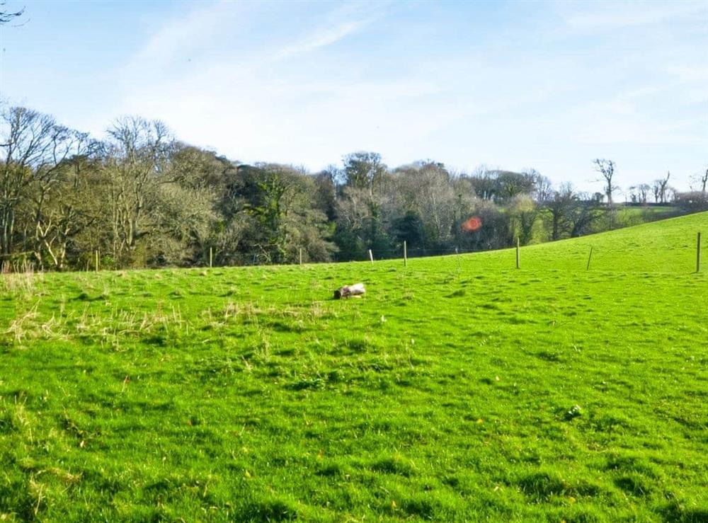 Fields across the road with public footpath at Verbena Cottage in Veryan, Cornwall