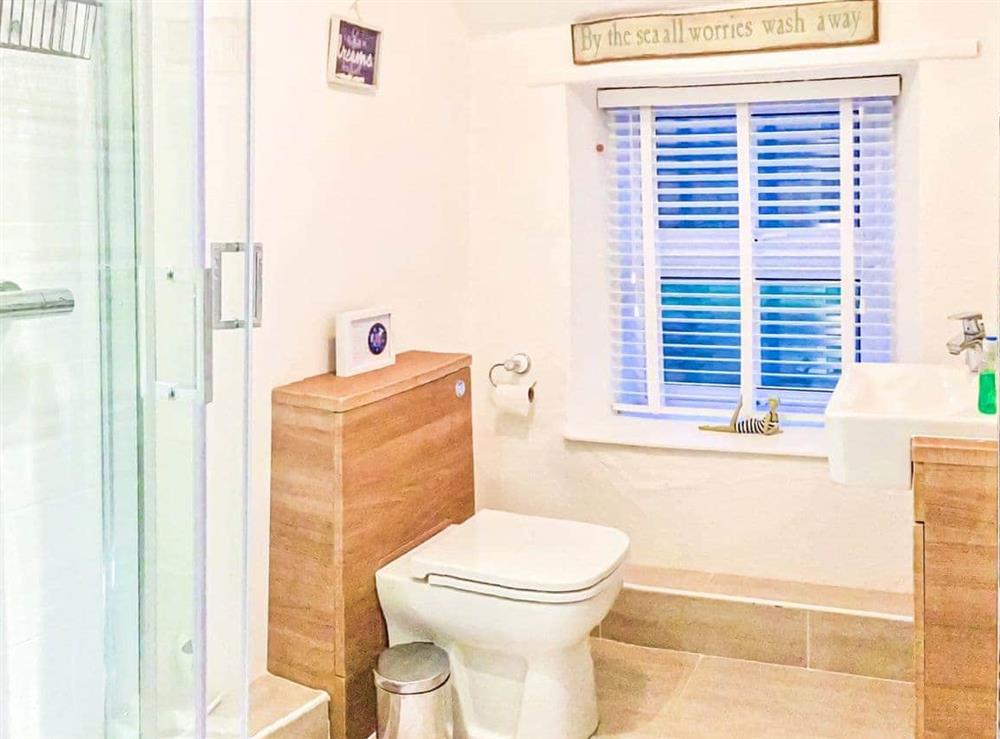 Main shower room at Verbena Cottage in Veryan, Cornwall