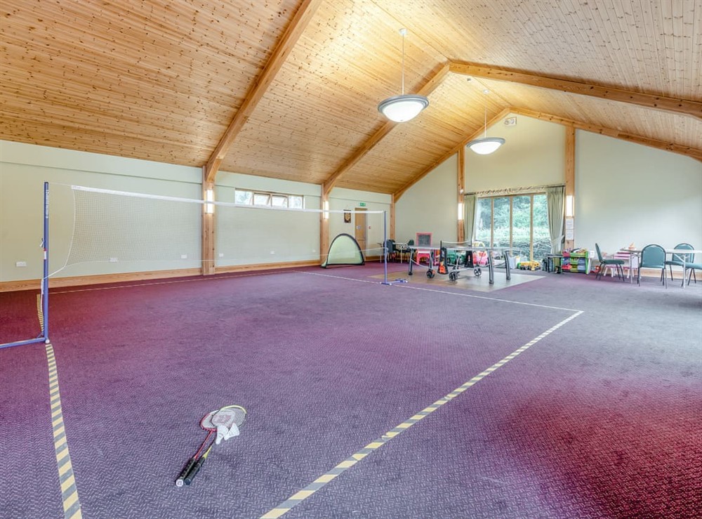 Games room at Victoria Albert in Woolland, near Blandford Forum, Dorset