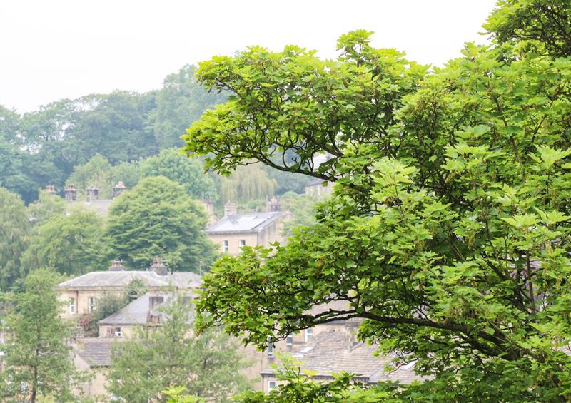 The setting around Victoria House at Victoria House, Holmfirth