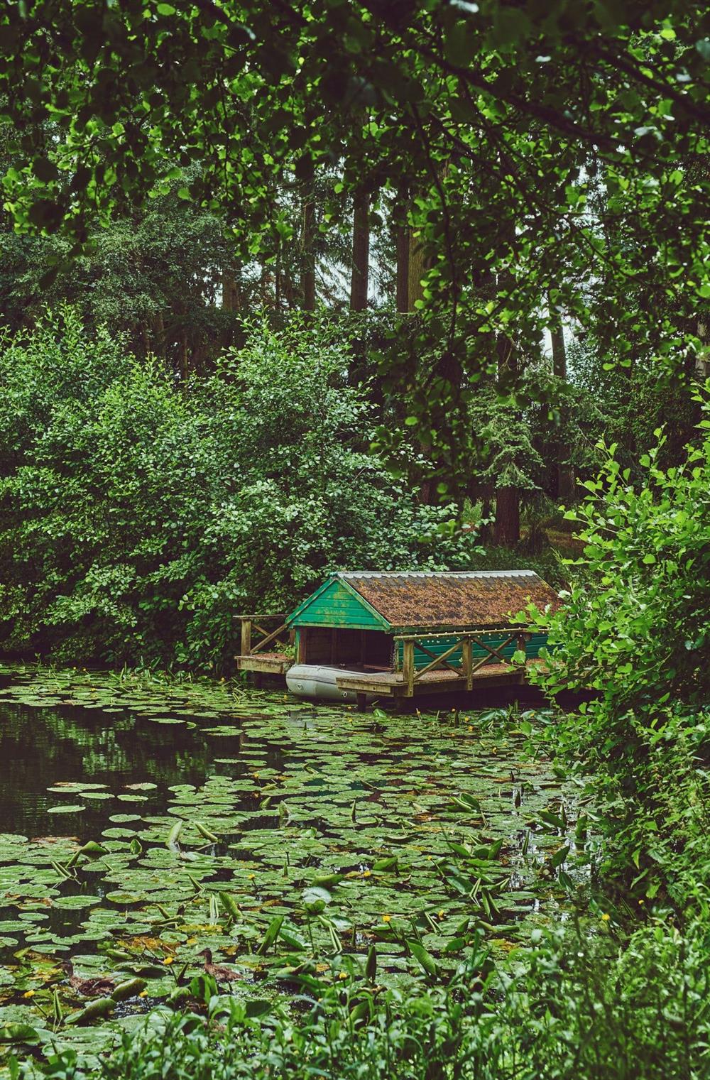 The lake covered