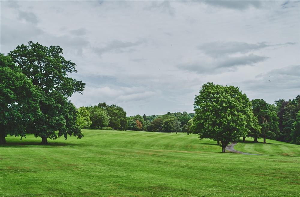 The rolling countryside on the estate