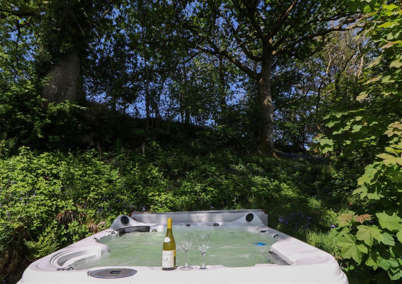 Enjoy the garden (photo 2) at Victorian Farmhouse, Ty Mawr near Llanybydder