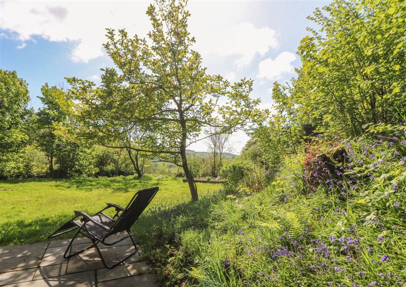 In the area at Victorian Farmhouse, Ty Mawr near Llanybydder