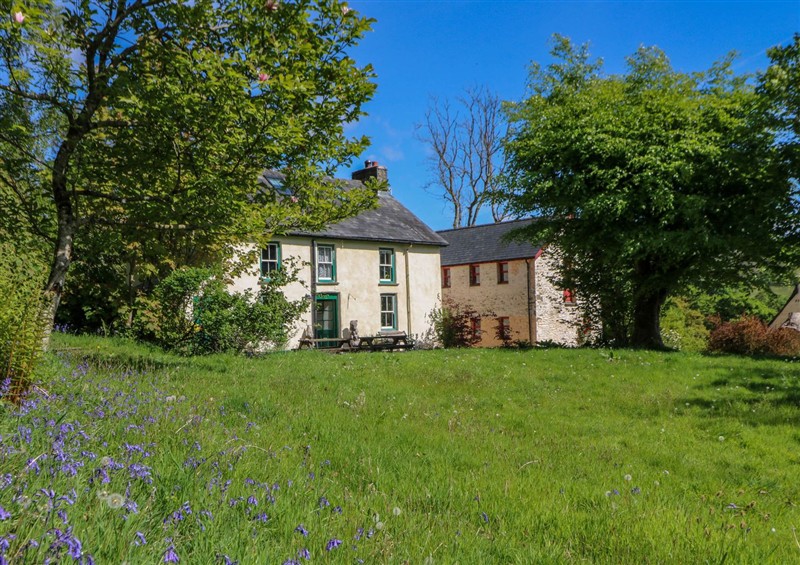 The garden in Victorian Farmhouse (photo 2) at Victorian Farmhouse, Ty Mawr near Llanybydder