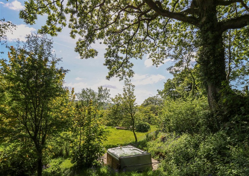 The garden in Victorian Farmhouse (photo 3) at Victorian Farmhouse, Ty Mawr near Llanybydder