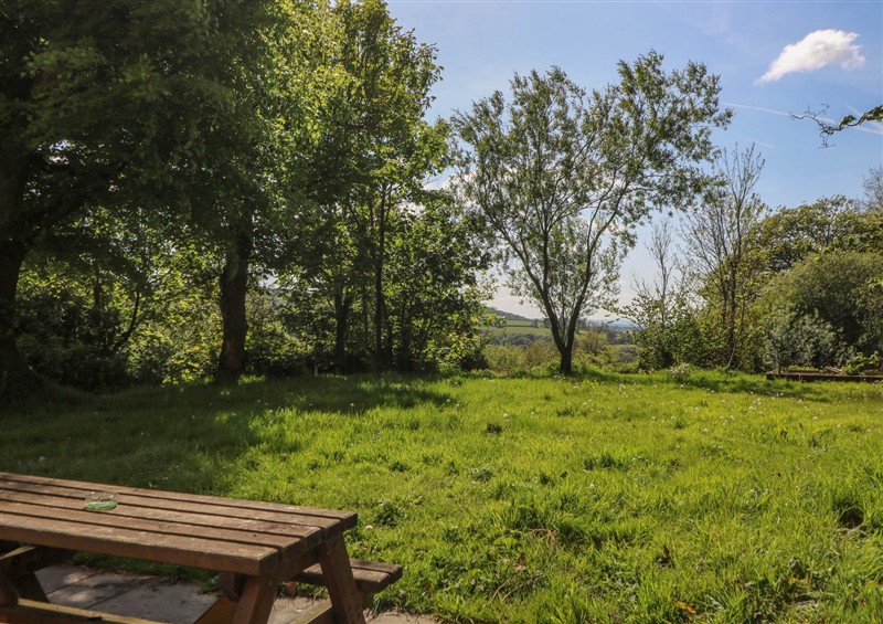 The garden in Victorian Farmhouse at Victorian Farmhouse, Ty Mawr near Llanybydder
