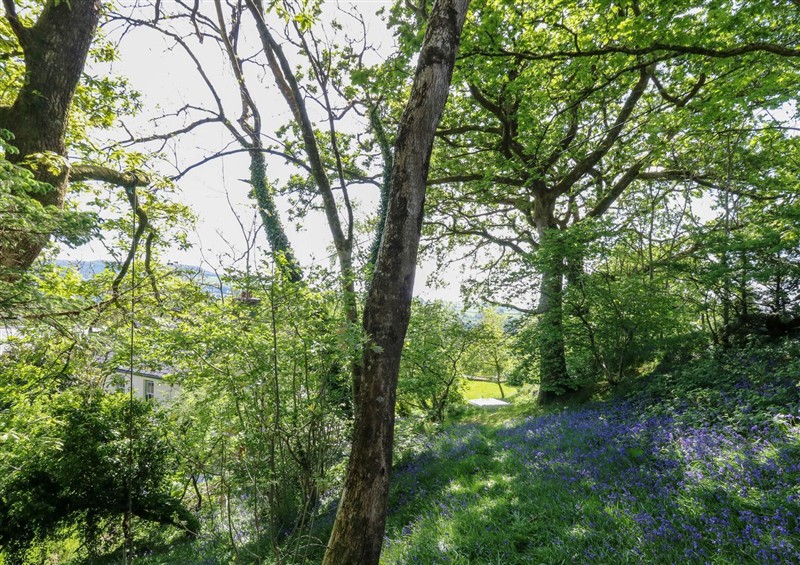 The setting around Victorian Farmhouse at Victorian Farmhouse, Ty Mawr near Llanybydder