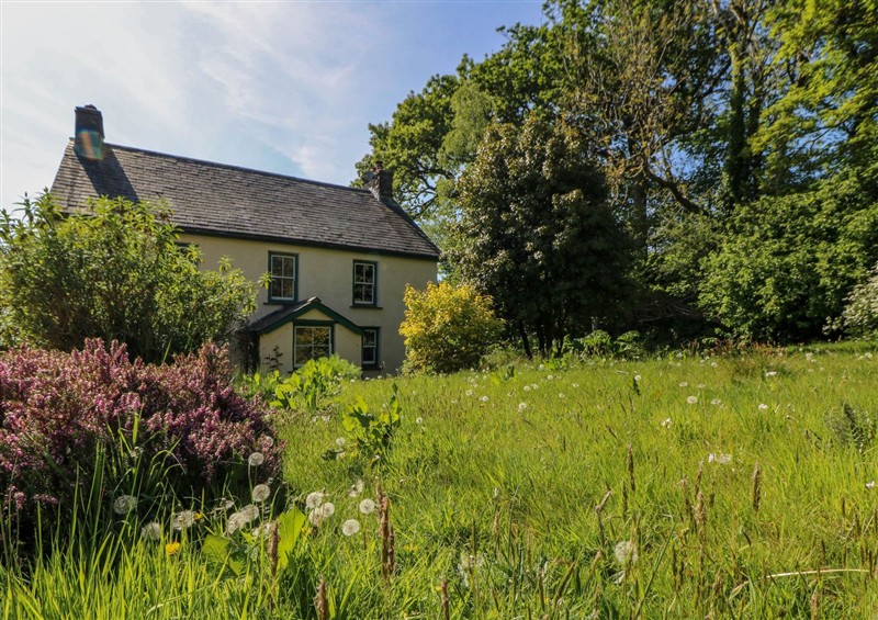 This is the garden (photo 2) at Victorian Farmhouse, Ty Mawr near Llanybydder