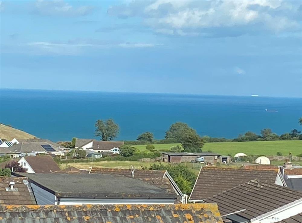 View at View Cottage in Brixham, Devon