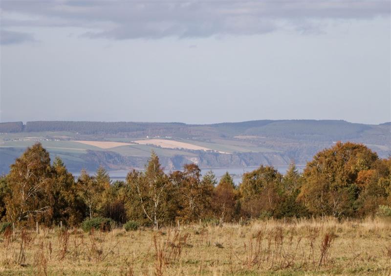 Rural landscape