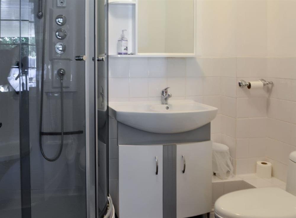 Shower room at Vijay Gardens in Glanaman, near Llandeilo, Dyfed