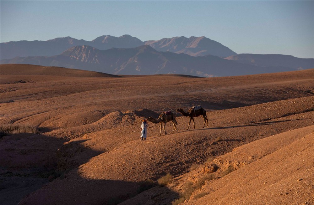Villa Aromi (photo 21) at Villa Aromi in Agafay, Morocco