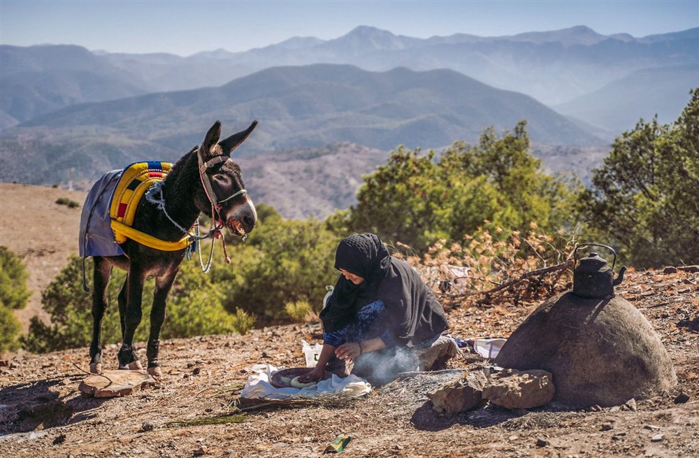 Villa Aromi (photo 37) at Villa Aromi in Agafay, Morocco