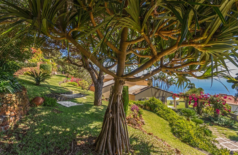 Villa Assicom (photo 8) at Villa Assicom in Funchal, Portugal