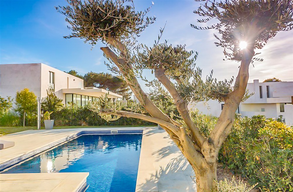 Villa Binisol (photo 3) at Villa Binisol in , Spain