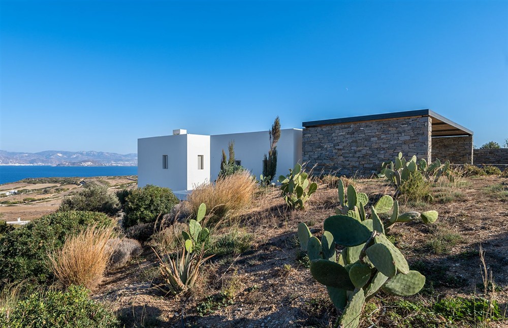 Villa Blue Olive