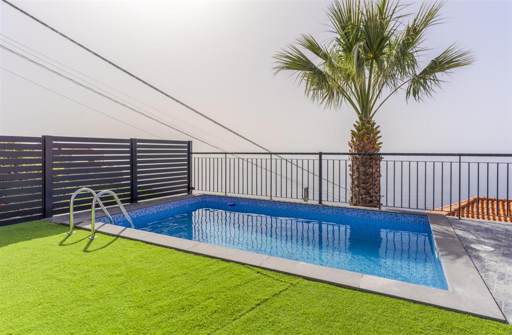 Villa Carnation (photo 7) at Villa Carnation in Funchal, Portugal