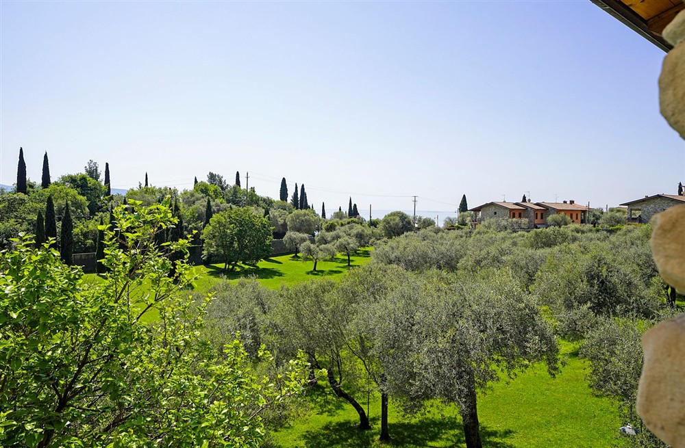 Villa Cartiera