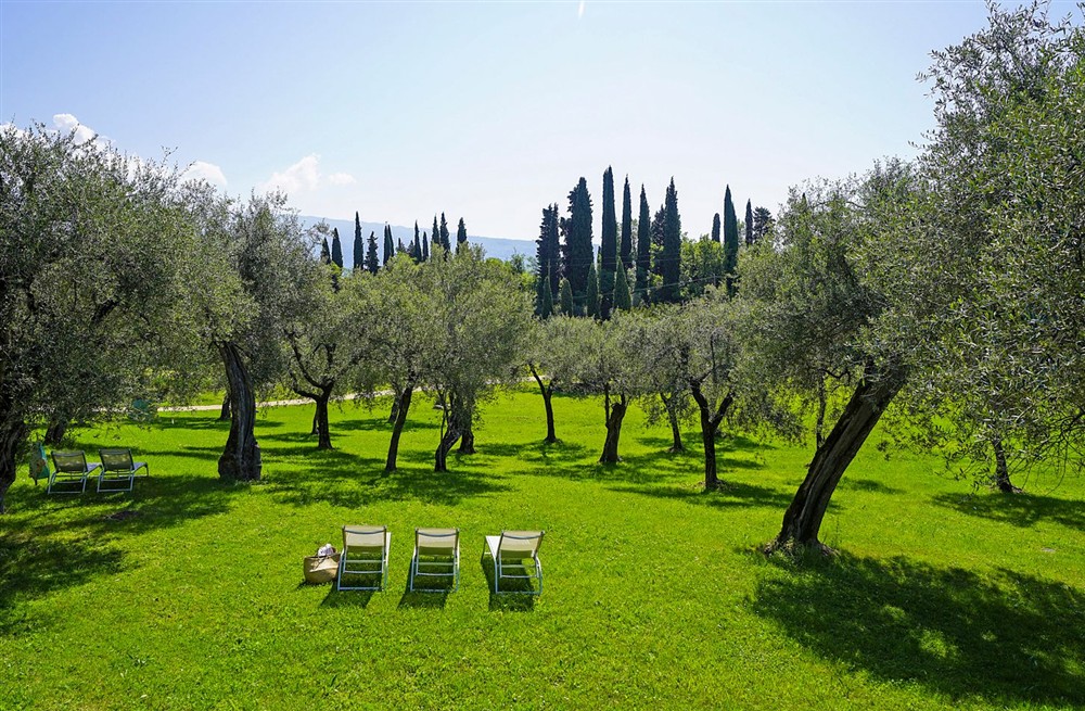 Villa Cartiera