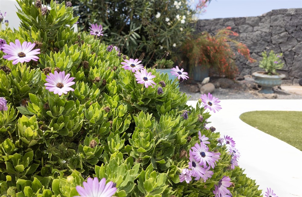 Villa Concorde (photo 15) at Villa Concorde in Playa Blanca, Lanzarote