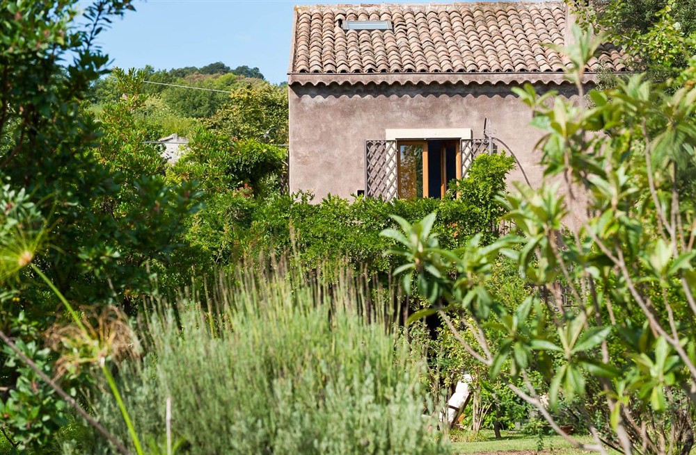 Villa Delle Vigne