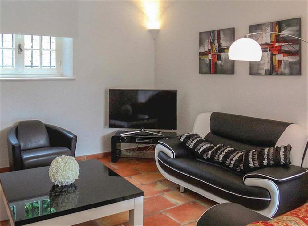 Living room (photo 2) at Villa des Palmiers in Le Tignet, Côte-d’Azur, France