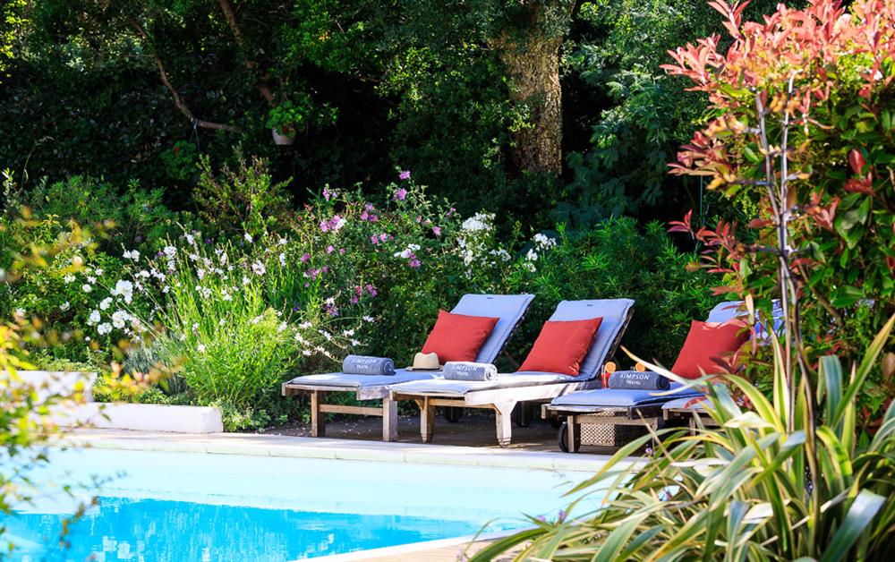 Photo of Villa des Roses (photo 5) at Villa des Roses, Aquitaine Coast, France