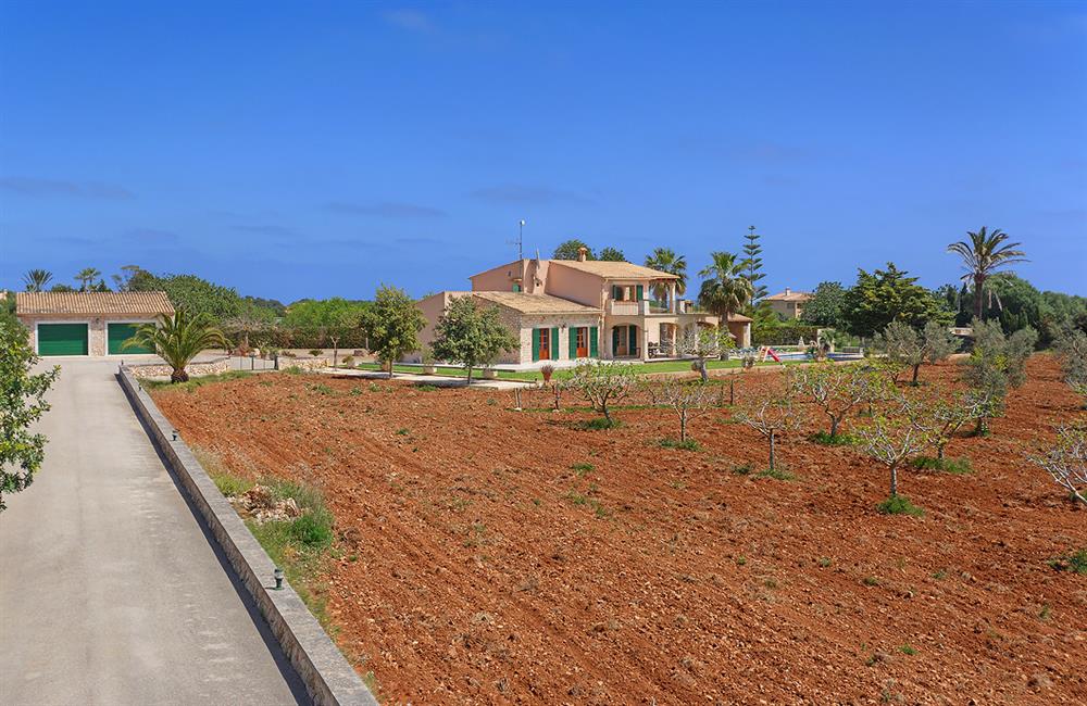 Villa Deu Quarterades (photo 11) at Villa Deu Quarterades in Cala d'Or, Majorca